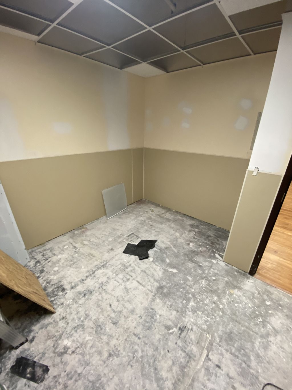 Projects and media