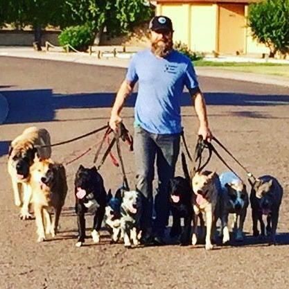 Zen Rj Dog Training