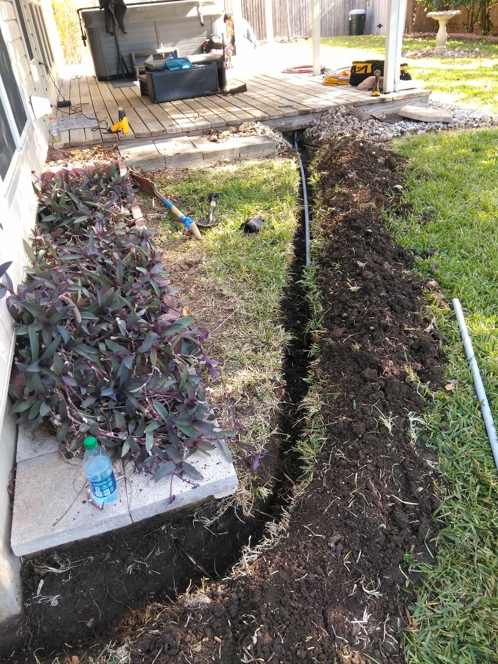 Customer photos