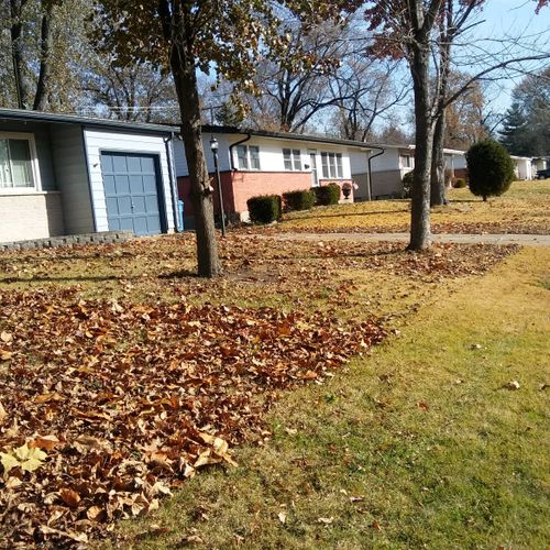 Before finishing leaf removal and mowing