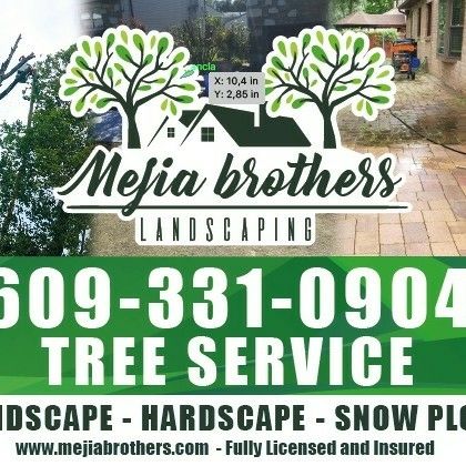 Mejia brother's Tree service