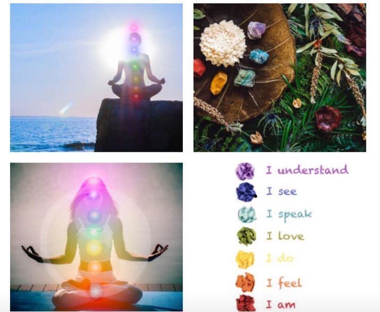 Chakras take in universal life force energy, which