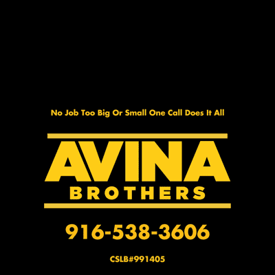 Avatar for Avina Brothers