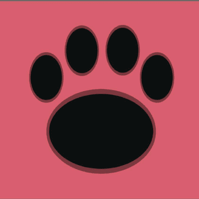 The 10 Best Mobile Dog Groomers In Folsom Ca With Free