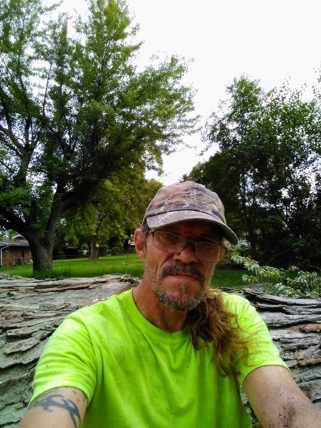 Carl Hess, professional tree removal.