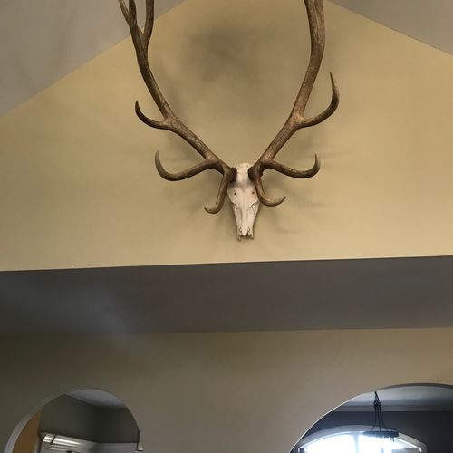 Our job involved hanging 45 lb. elk antlers on a h