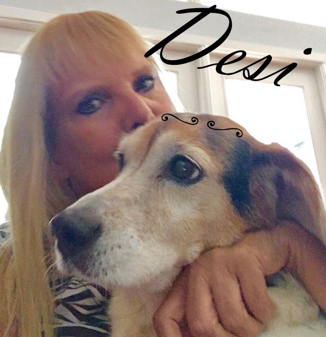 Desi The Dog Walker Orlando, FL Thumbtack