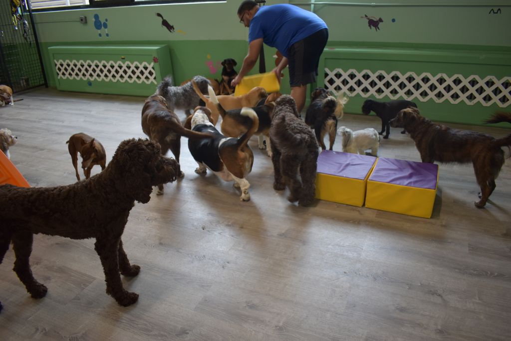 Play time 