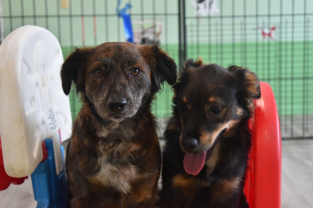 Cousins at daycare