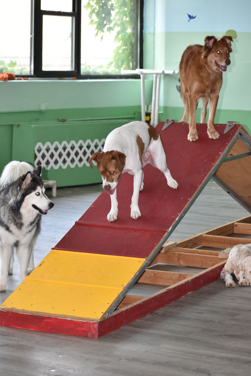 Large Room Daycare Fun