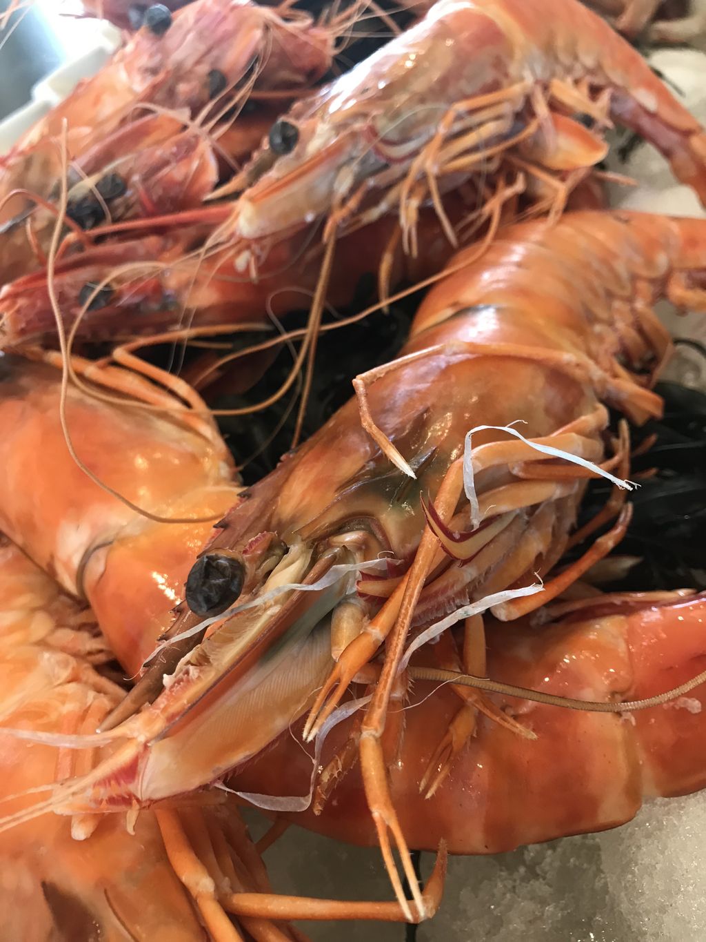 Beautiful prawns for a Paella