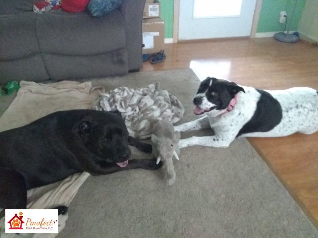 Customer photos