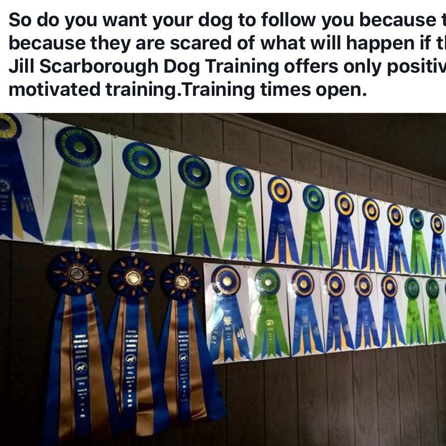 Jill Scarborough Dog Training