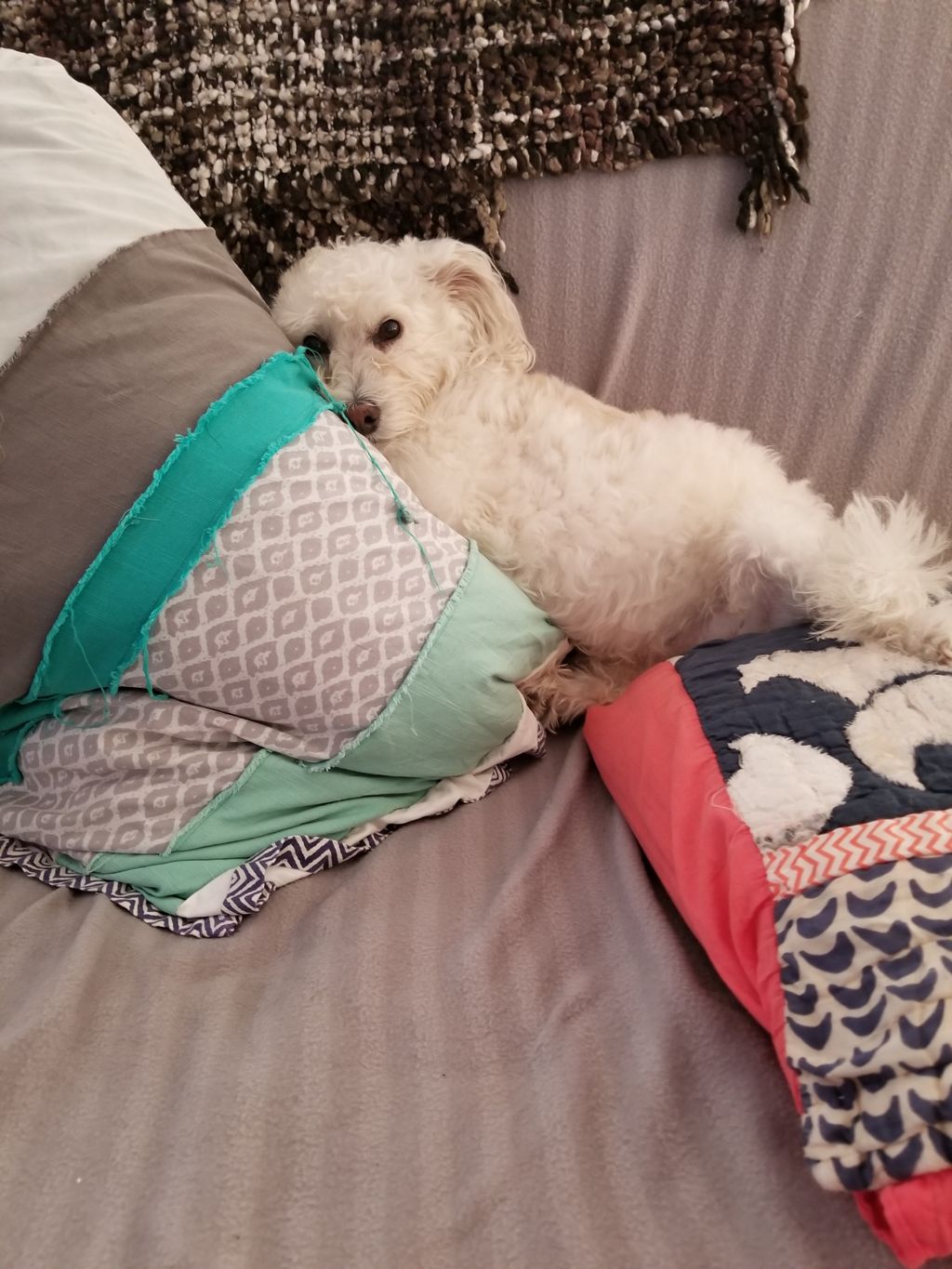 Someone pls bring me a treat.