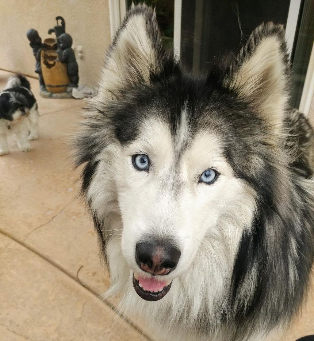 Beautiful Skye!!