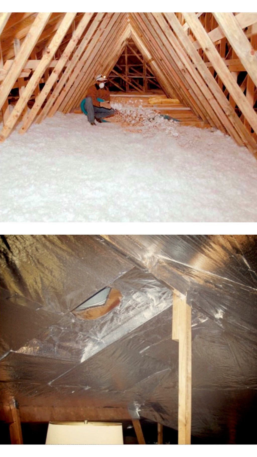 Hale Insulation