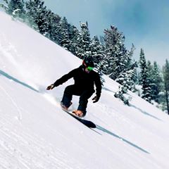 pro avatar