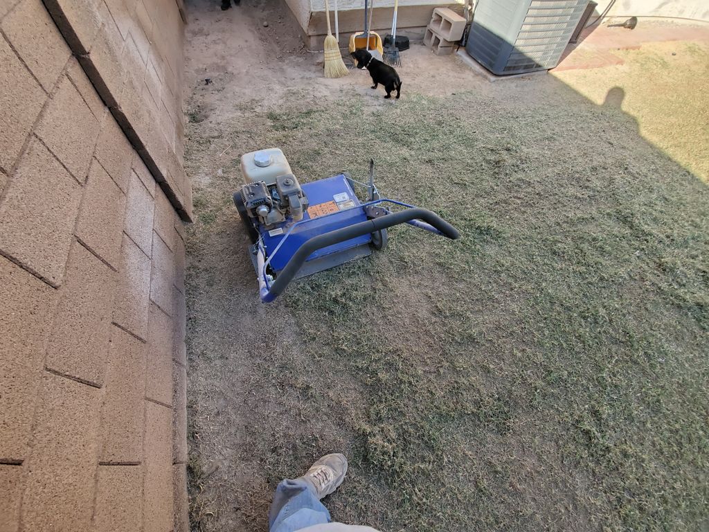 We offer Dethatching & Aeration 