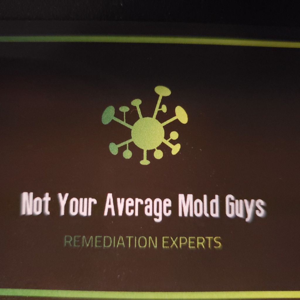 Not Your Average Mold Guy's