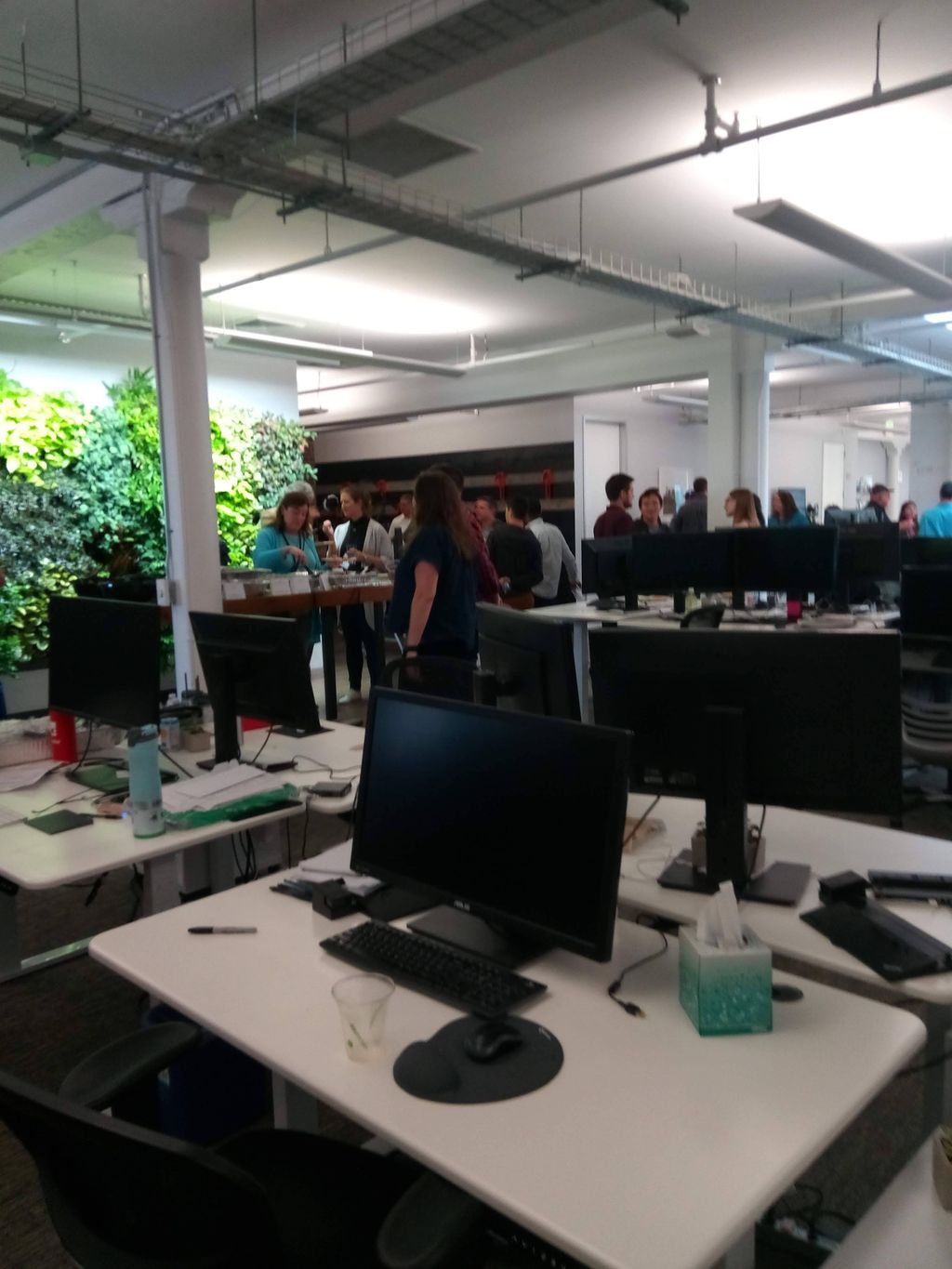 Projects and media