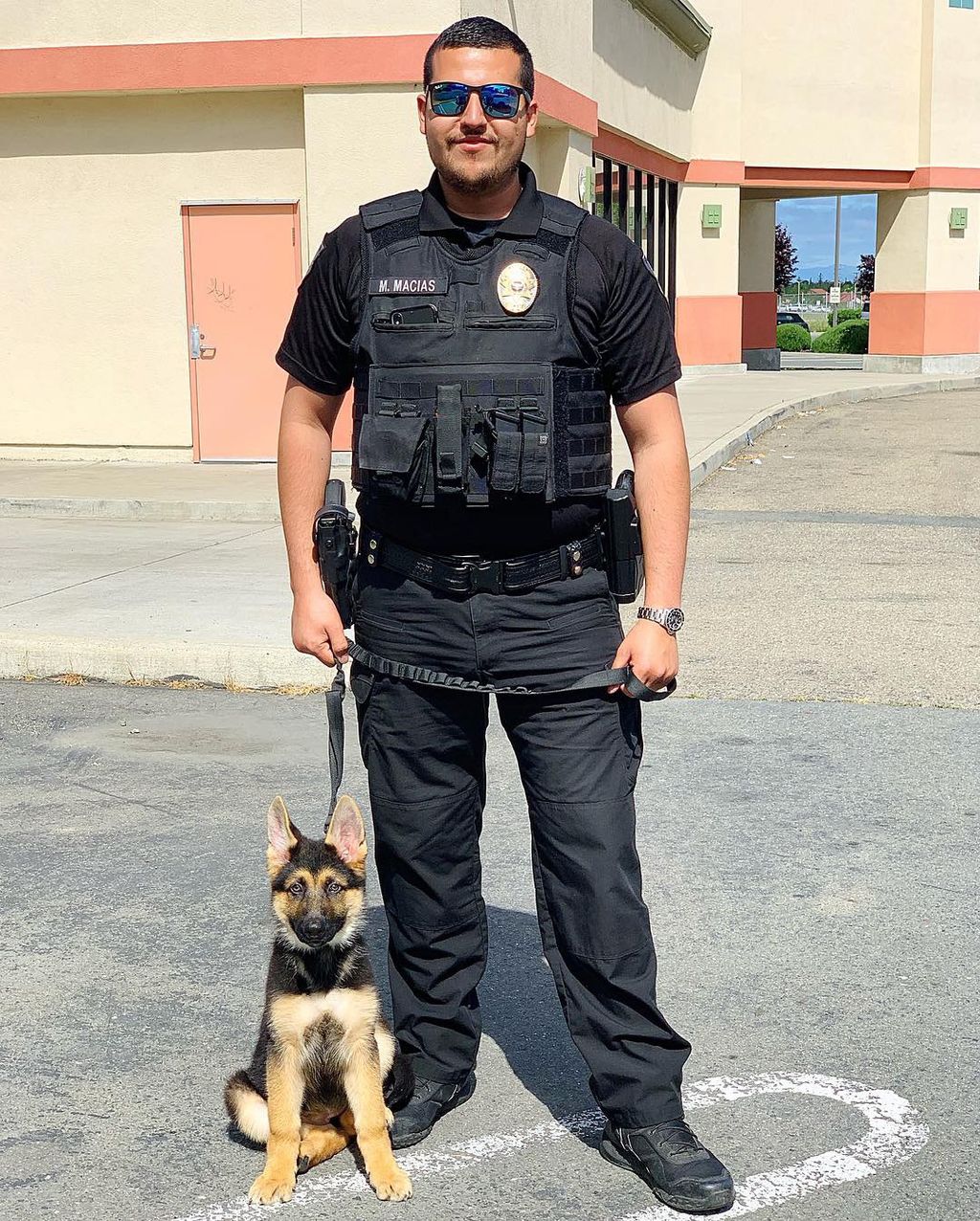 Our CEO and his K9 Rousey 