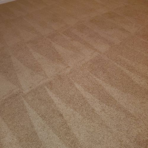 Carpet Cleaning done right, Call Us Today!