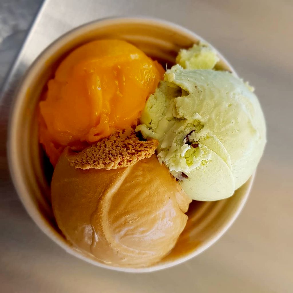 Fresh Mint Chip, Dulce de Leche and Mango gelato t