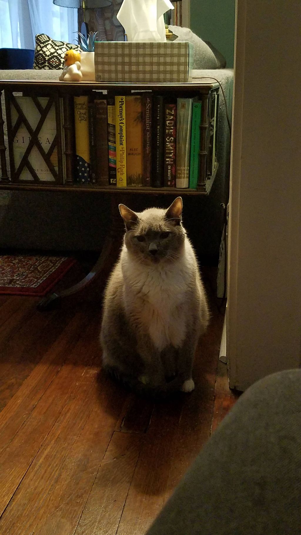 Gonzo is a whole mood