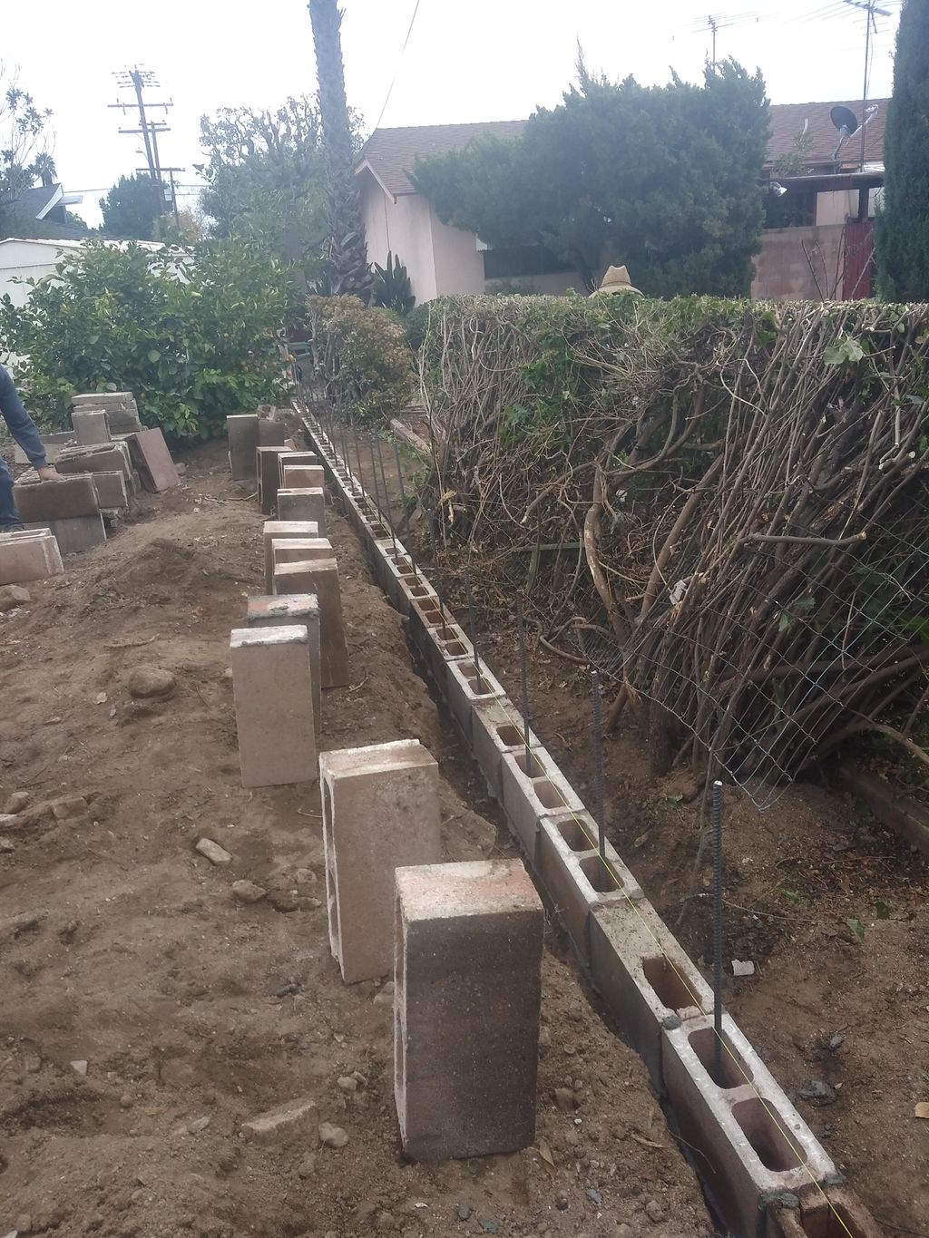 Projects and media