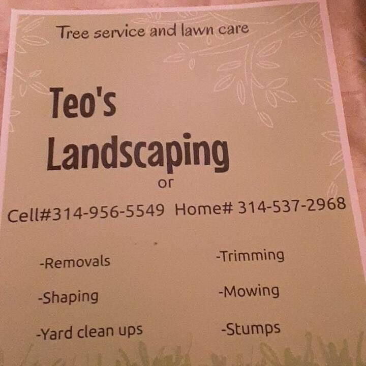 Teo’s landscaping
