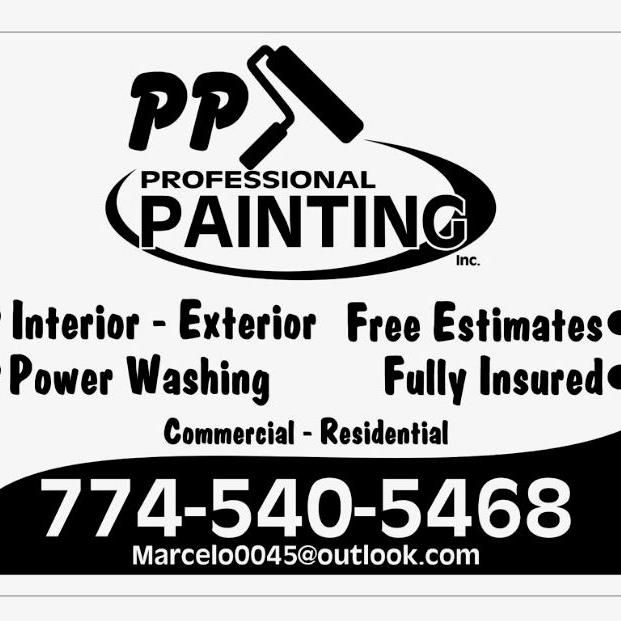 Pp professional painting inc