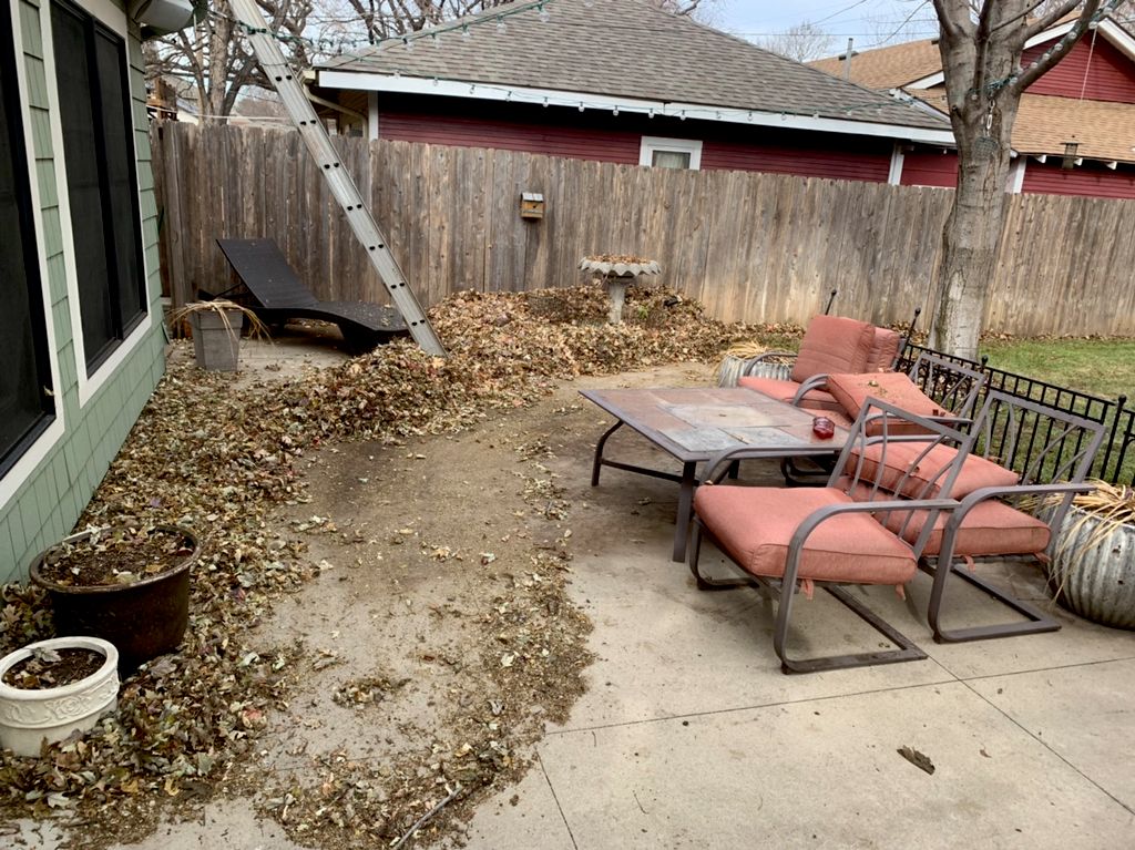 LeAf Clean Up before pic