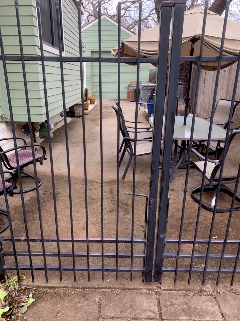 Clean up we did for a customer removing leaves