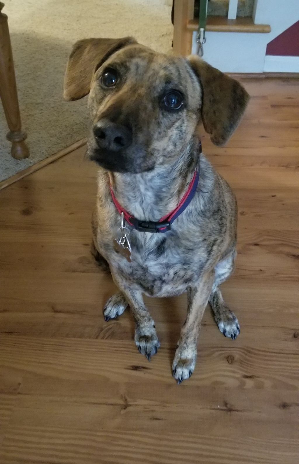 The power of attaining and maintaining attention!