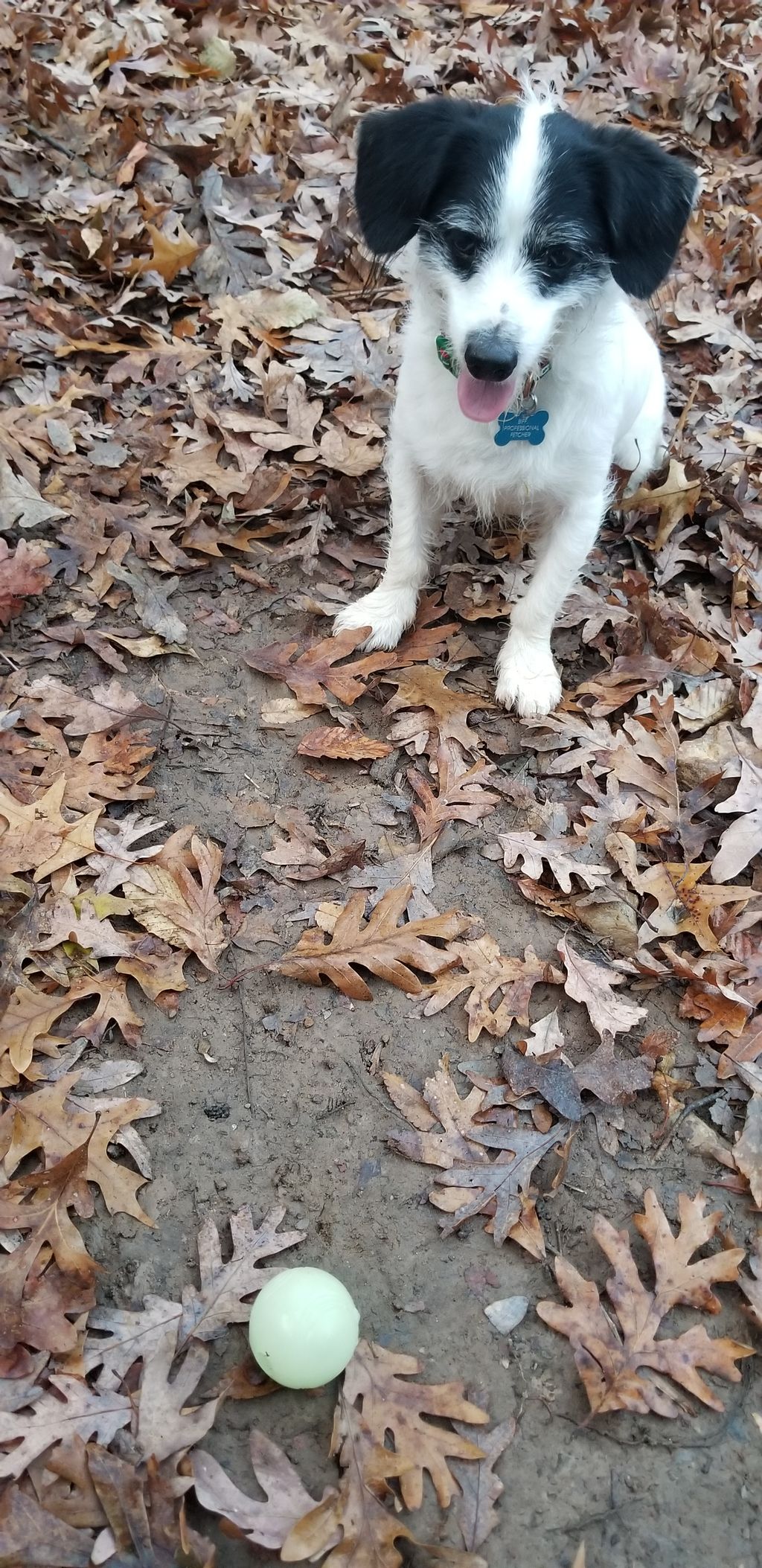 The power of a strong release! Despite the ball's 