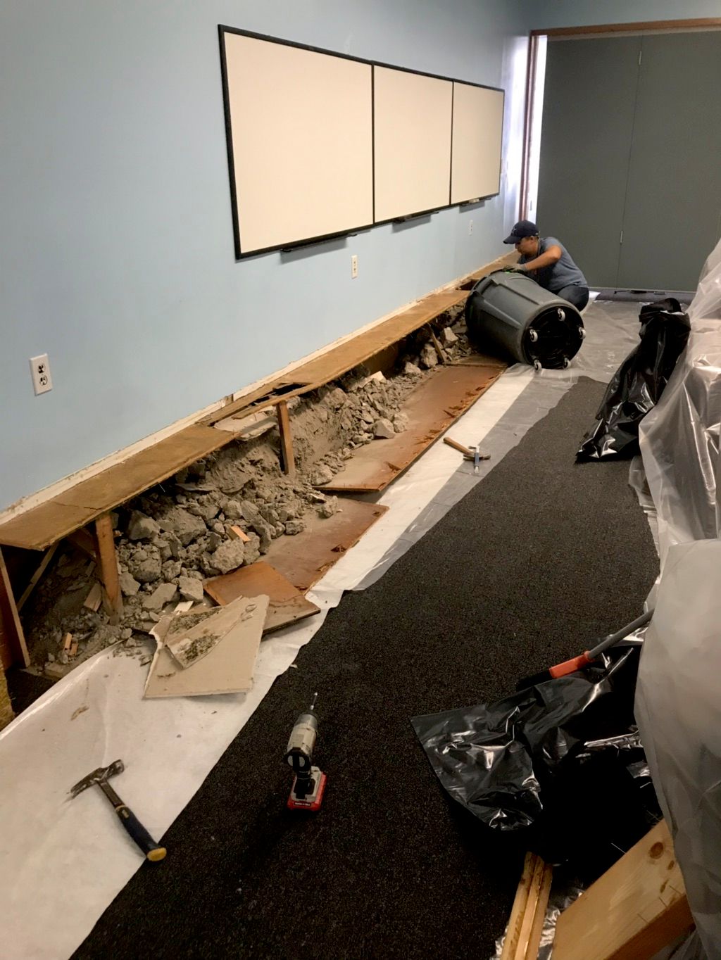 Projects and media