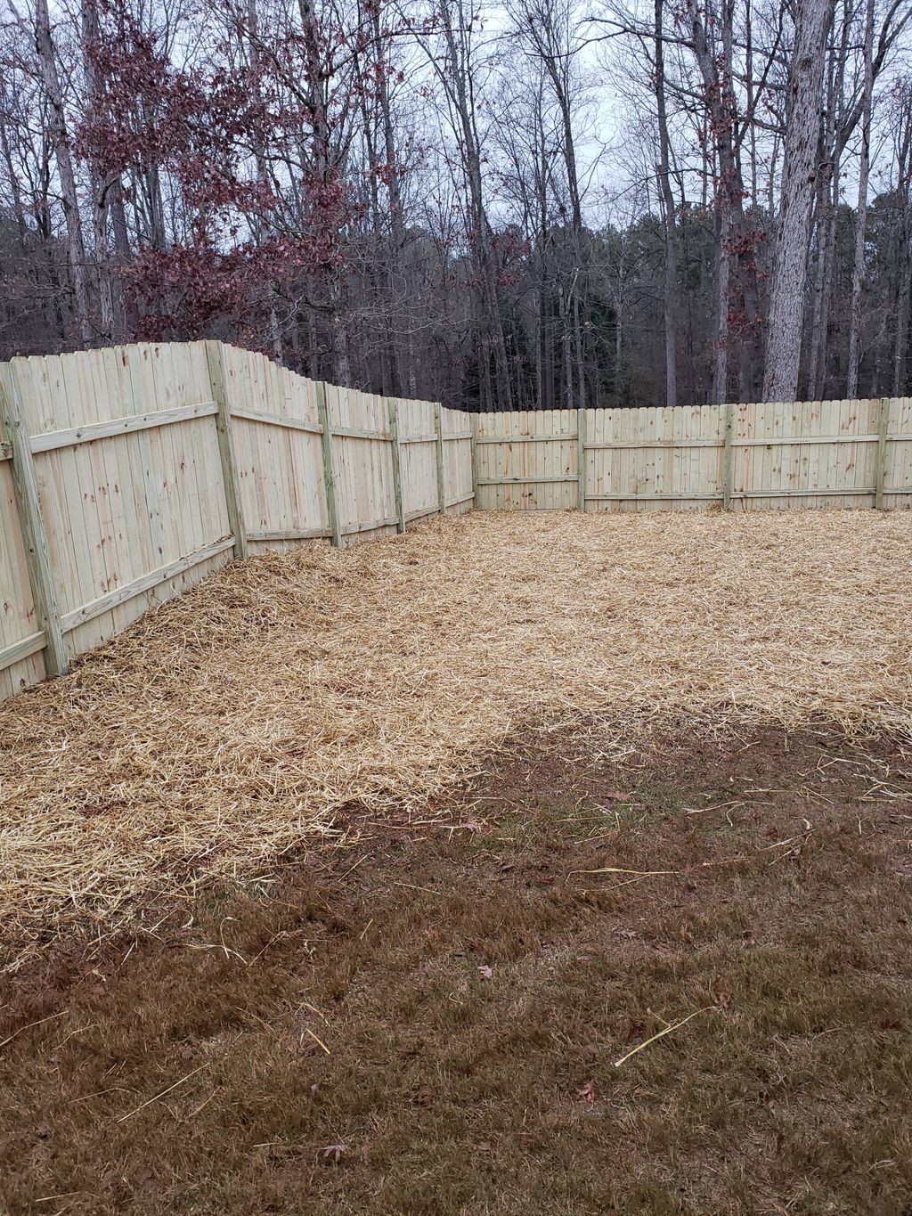 Customer photos