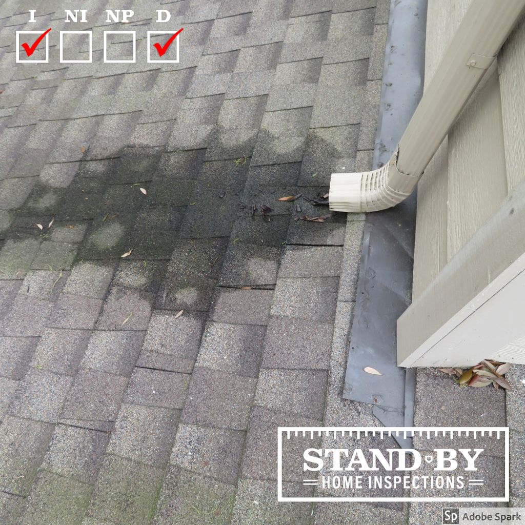 Clean you gutters. Slow leak on shingles doesnt he