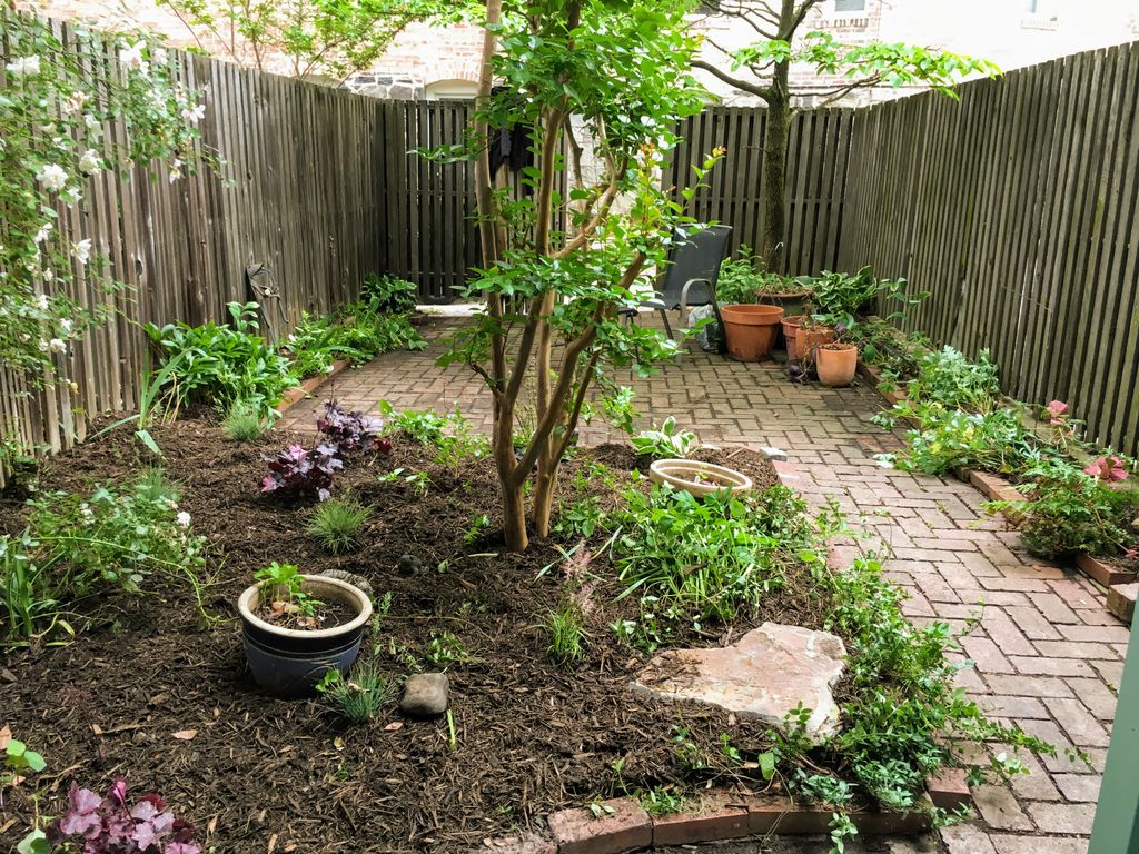Patio Spruce-Up with Natives and Small Boulder