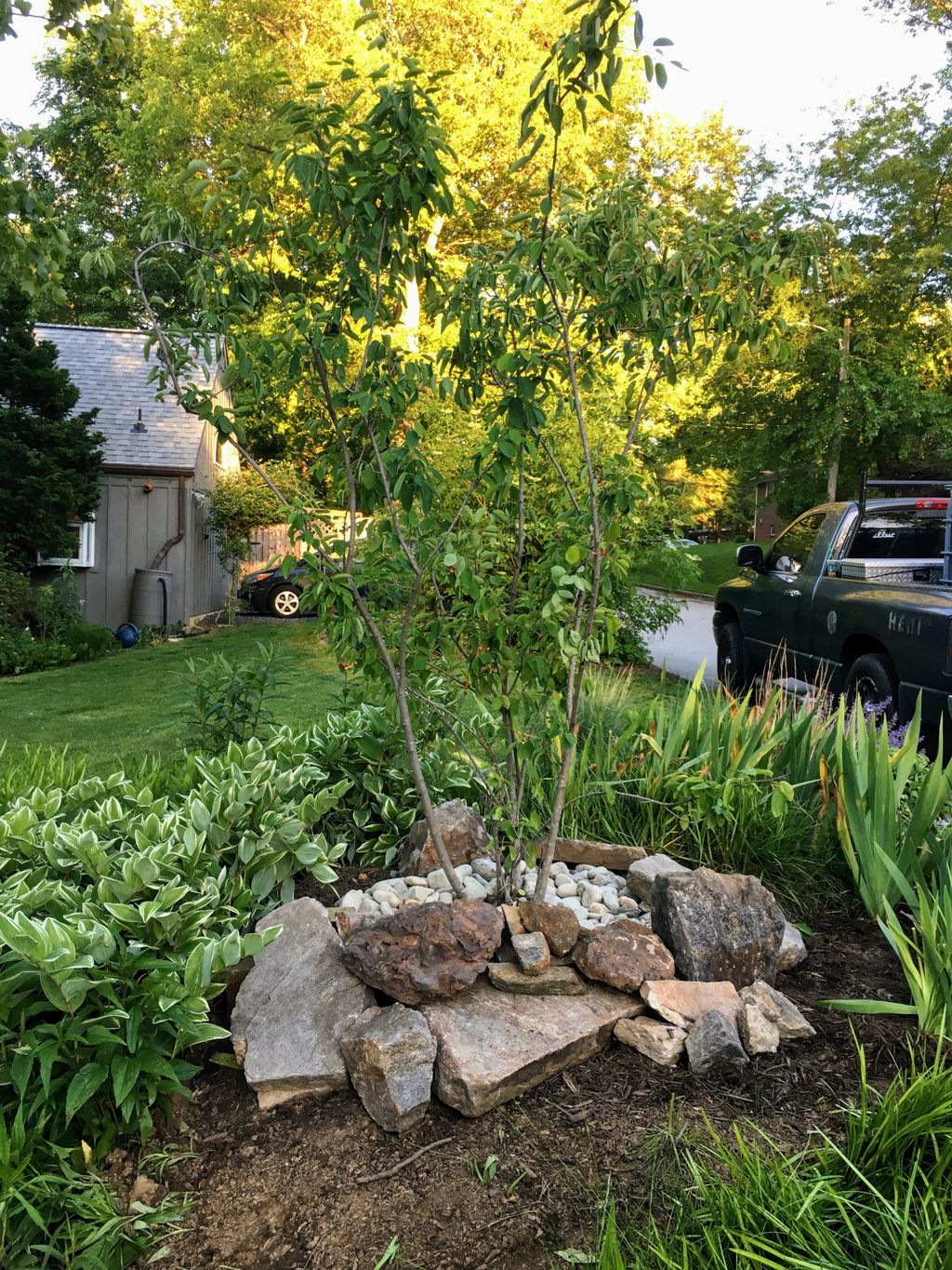 Native Tree Planting and Custom Natural Stone Acce