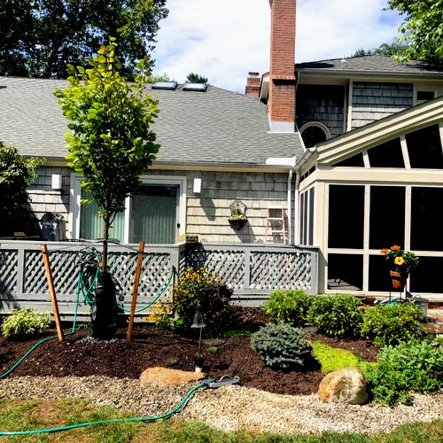 Backyard Re-Design with Native Tree, Plants and Na