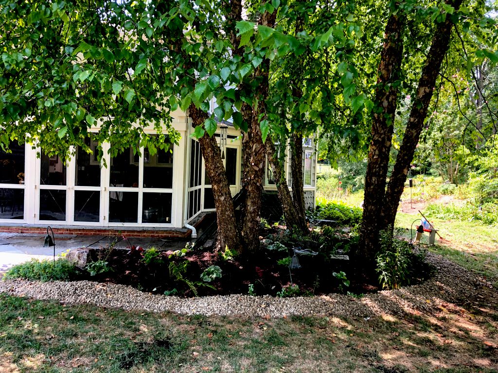 Shade Garden Native In-fill Planting with Natural 