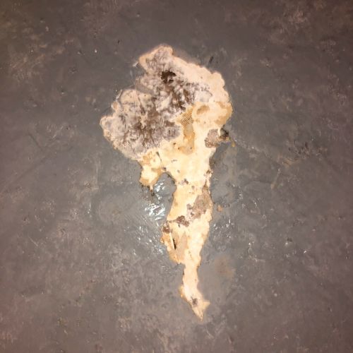 Basement floor damage