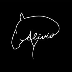 Alivio Equestrian Academy