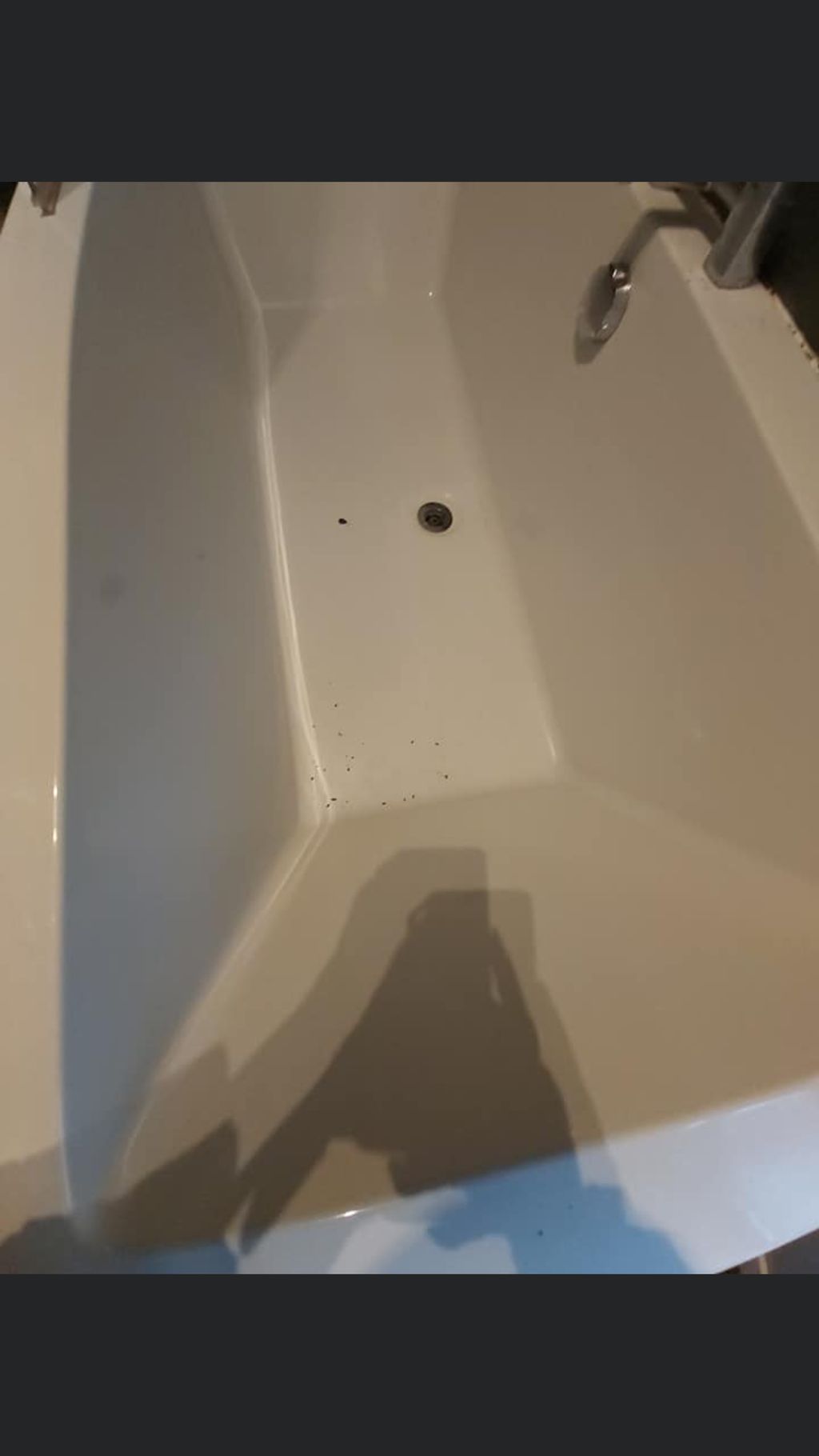 Before and after pictures 