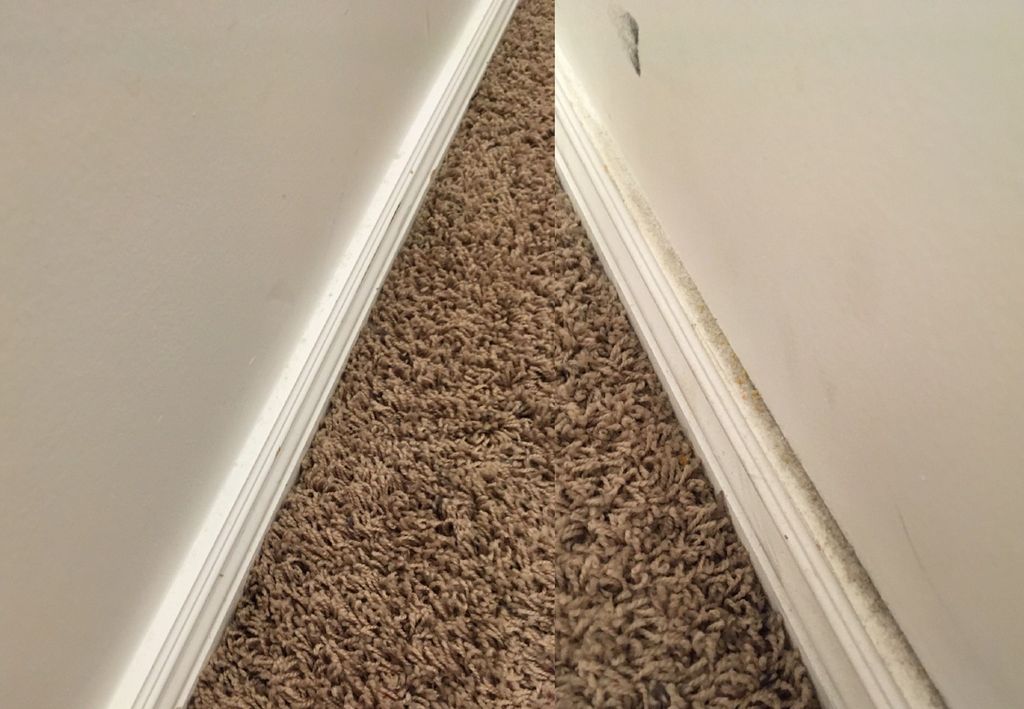 Deep cleaning included wiping down years of build-