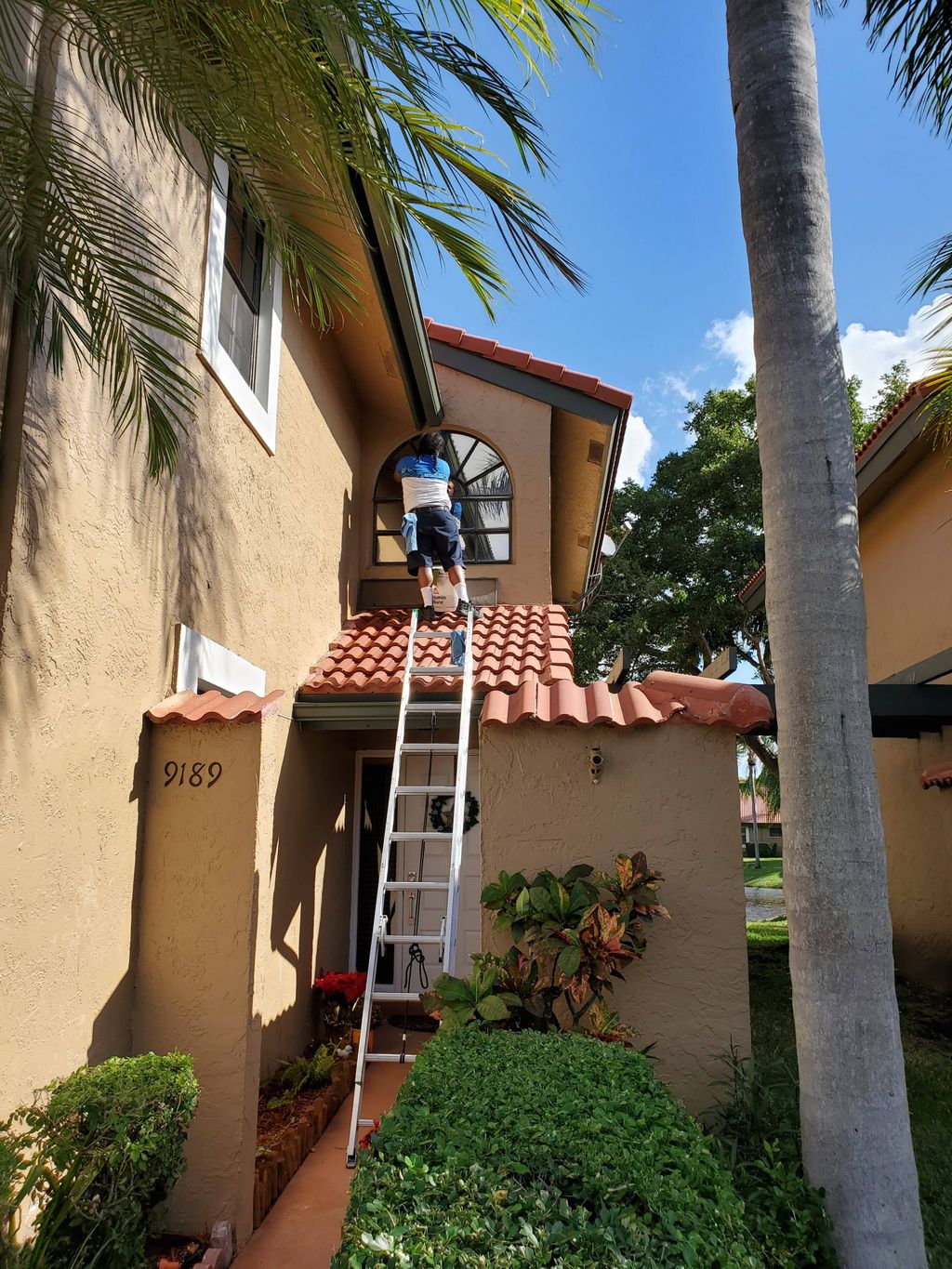 Window washing 