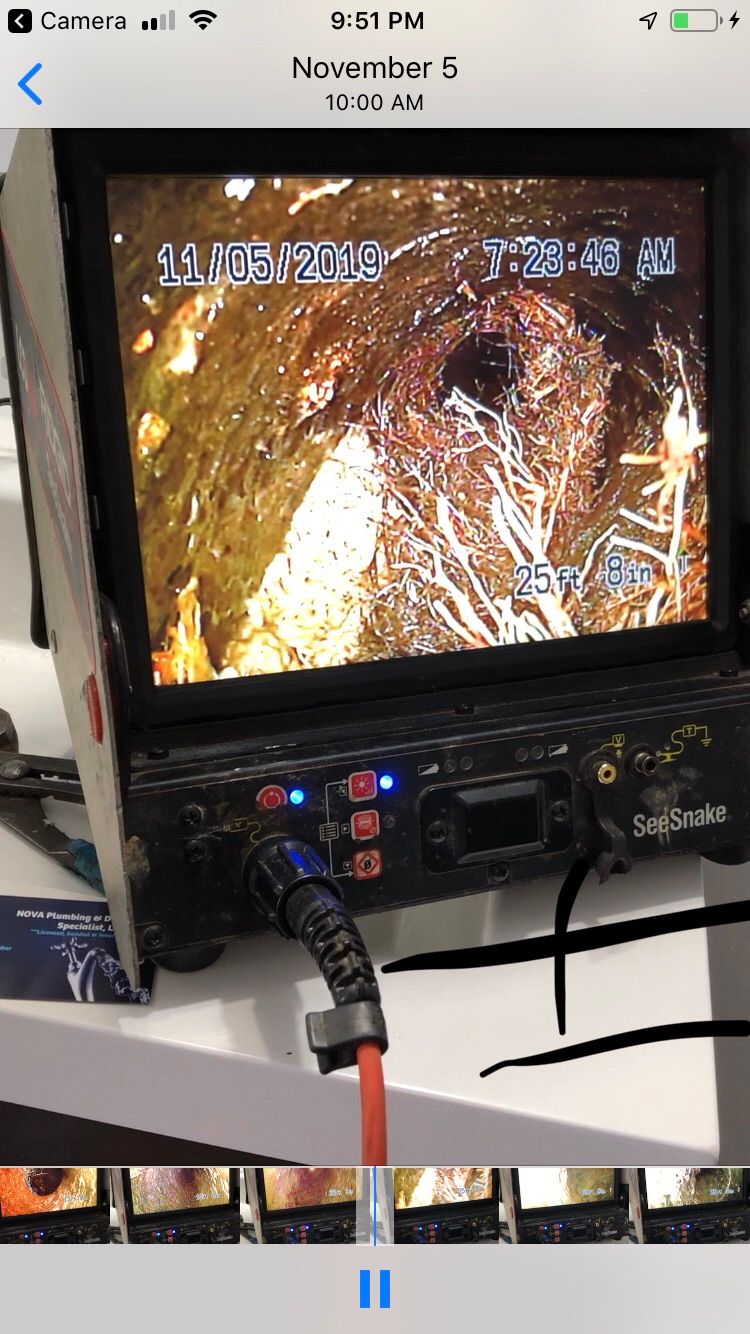 Root infiltration 