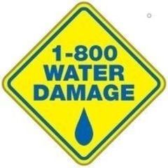 Avatar for 1-800 Water Damage of NYC