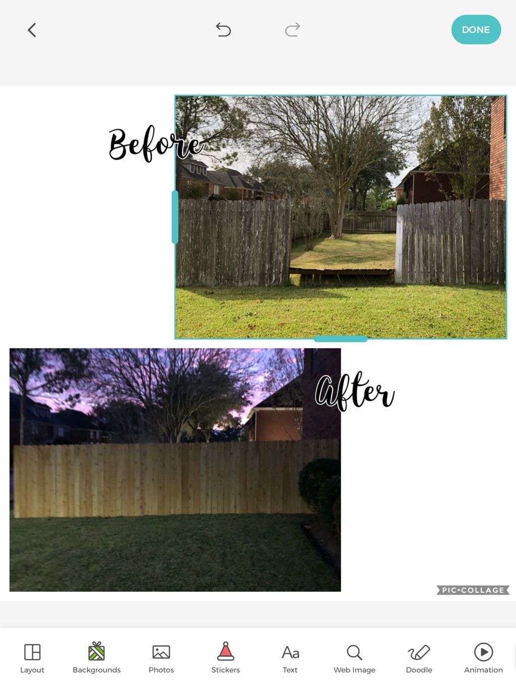 Customer photos